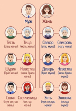 Как запомнить названия родственников, которые все путают