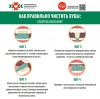 Как правильно чистить зубы