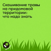 Скашивание травы на придомовой территории Что надо знать